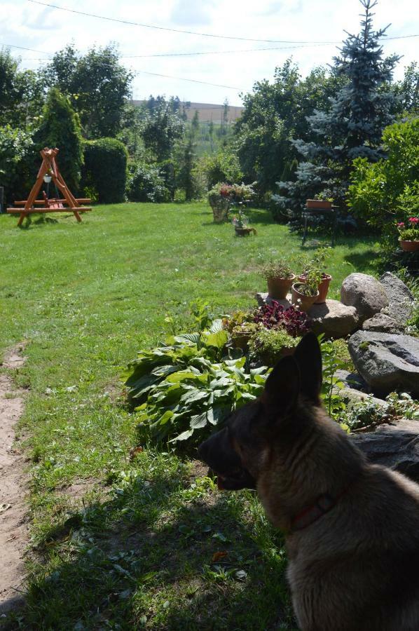 Agroturystyka 'Pod Debem' Giżycko Buitenkant foto